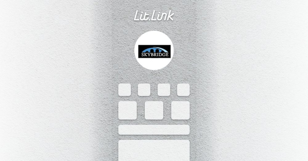 Skybridge Bookkeeping lit.link