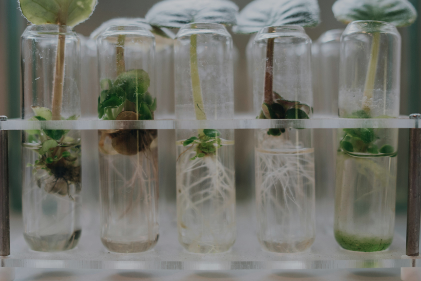 Equipment & Plant Residual Life Analysis Indonesia | AGI