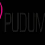 Pudumjee Profile Picture