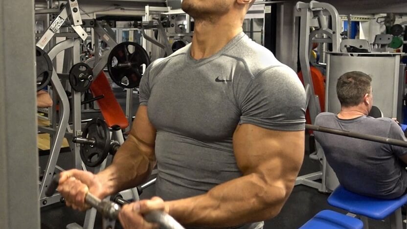 Bigger Biceps: The Best Foods to Eat and Avoid 2024