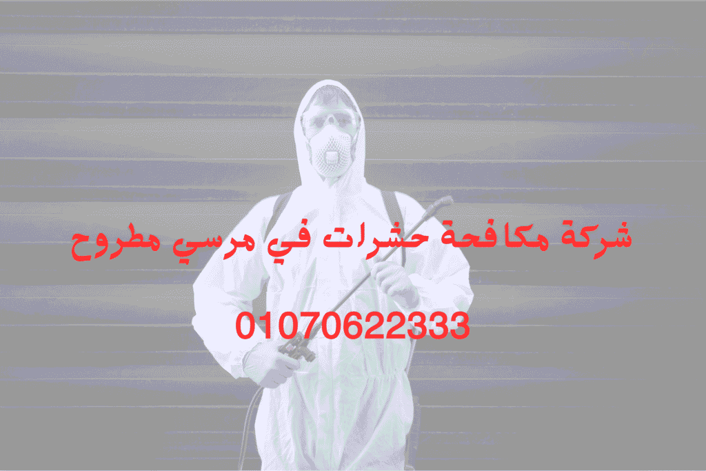 شركة مكافحة حشرات في مرسي مطروح 01070622333
