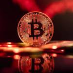 coldwallet Profile Picture