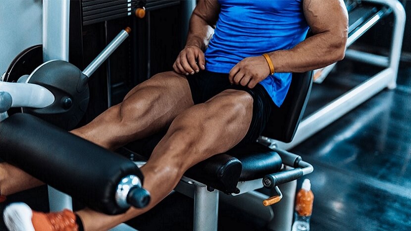 Top 10 Leg Workouts to Boost Your Strength 2024