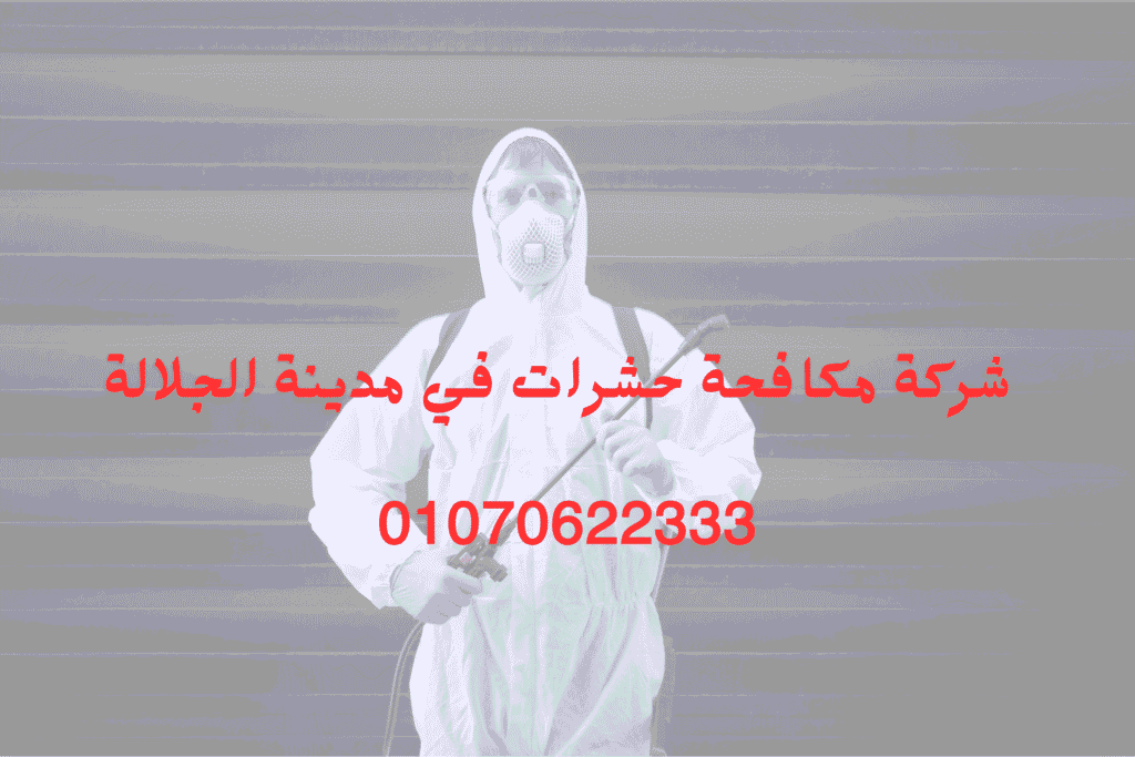 شركة مكافحة حشرات في مدينة الجلالة 01070622333