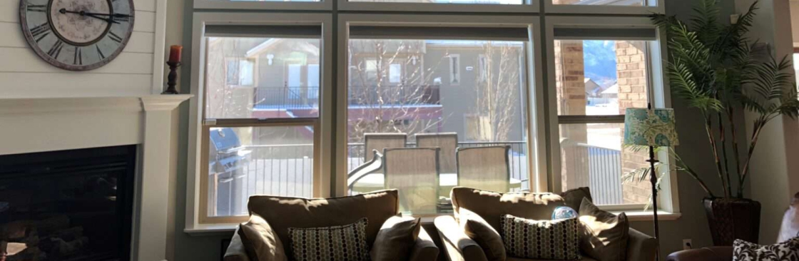 Lumos Painting Company Cover Image