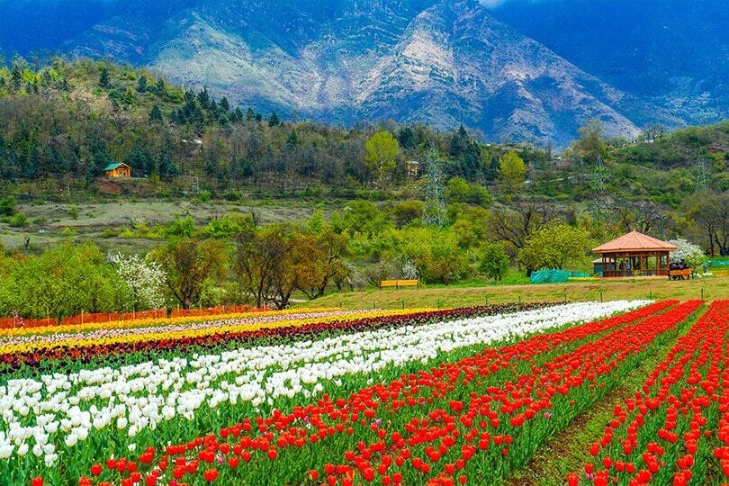 Dilkash Holidays Kashmir — Your Trusted Travel Partner in Paradise | by Dilkash Holidays | Sep, 2025 | Medium