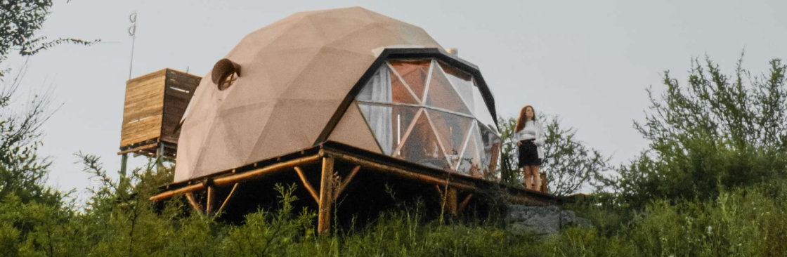The Dome Brothers Cover Image
