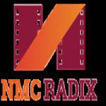 Nmc Radix Profile Picture