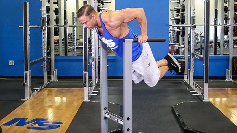 Chest Dips - Lower Chest & Tricep Strength Exercise 2024