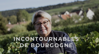 Acheter du vin à Dijon – Découvrez les meilleurs crus bourguignons