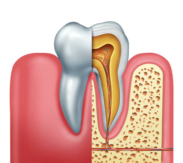 Restore teeth functionality by incorporating root canal treatment Melbourne cbd
