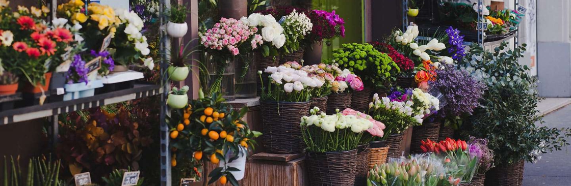 Flower Smart Cover Image
