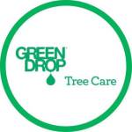 Green Drop Trees Profile Picture