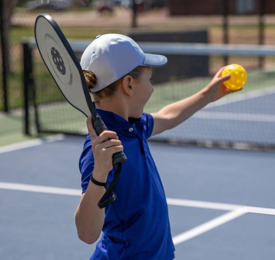 Pickleball Dwarka: The Perfect Weekend Fitness Activity – @acepickleball on Tumblr