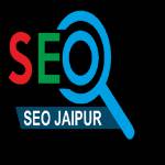 Seo Company Profile Picture
