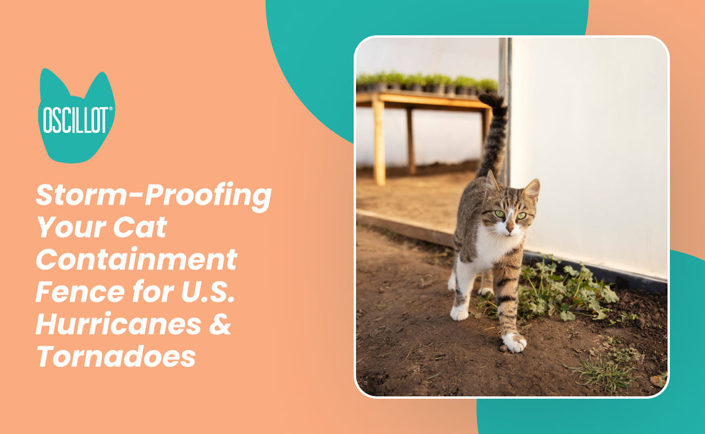 Storm-Proofing Your Cat Containment Fence for U.S. Hurricanes & Tornad – Cat-Proof Fence Rollers | Oscillot® North America