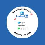 Dina khan profile picture