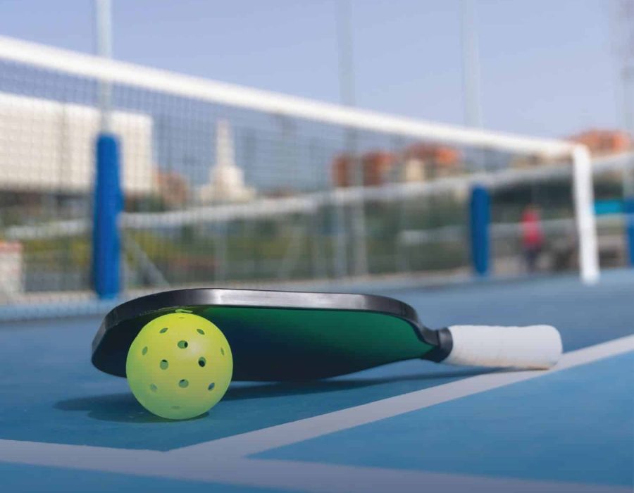 Eco-Friendly Designs: Best Pickleball Court in Delhi for Sustainable Play – Ace Pickleball India