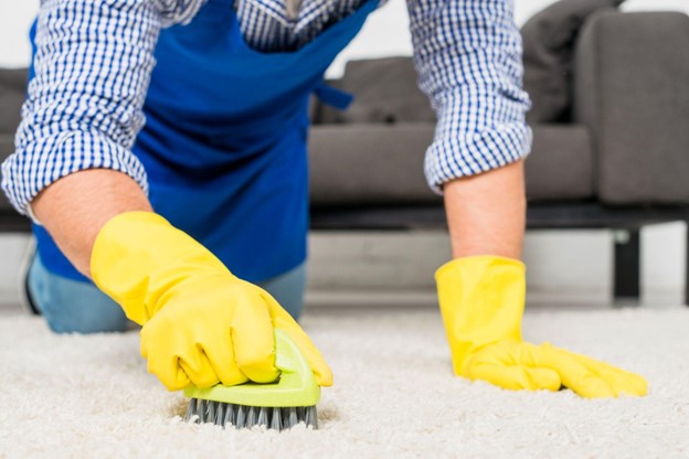 Trusted Carpet Cleaning Services Noida: Your Guide to Finding Services Nearby - TechApprove