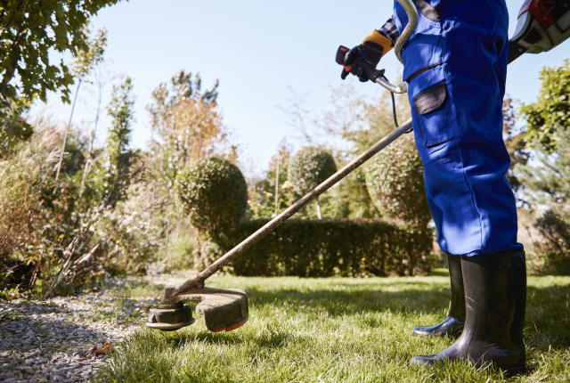 Struggling with Overgrown Lawns?  our Garden Maintenance Sydney Can Help – @dadmowsbest on Tumblr