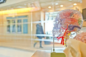 Advancements reshaping neurosurgery care | White Plains Hospital