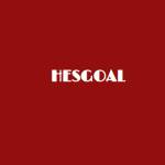 Hesgoal Profile Picture