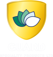 Water Repellent Coating, Terrace, Walls & Poolside Spotless