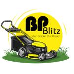 BP Blitz Profile Picture