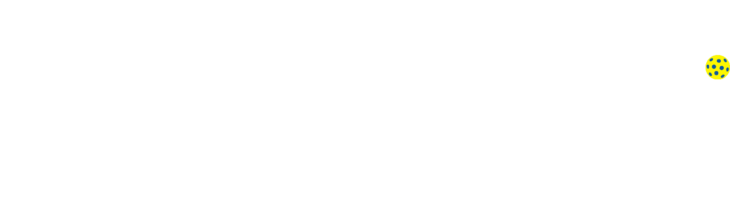 Top Pickleball Venue in Delhi | Ace Pickleball