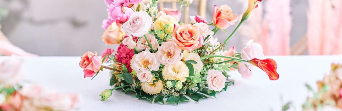 Jm creation Creation Cover Image