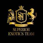setmotorsports Profile Picture