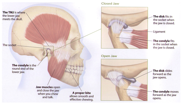 TMJ Dentist Melbourne | TMD Treatment | Holistic Dental Donvale