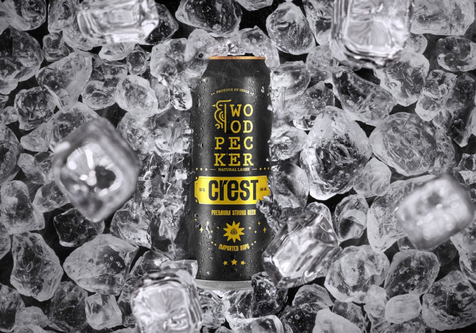 Why Woodpecker Beer Is Winning Hearts Across India