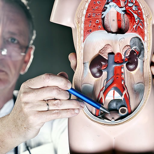 Prostate Treatment Doctor | Easiest Expert to Discuss Urinary Problems