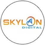 SEO Skylan Digital Profile Picture
