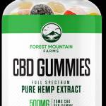 AmandaMBelly Profile Picture