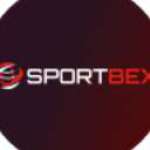 Adam Cole Profile Picture