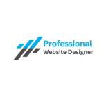 professionalwebsitedesigner Profile Picture