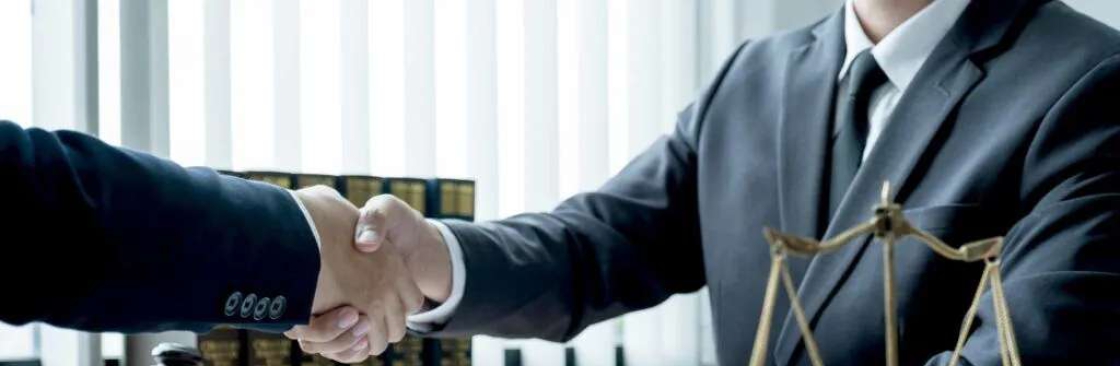 Zemel Law Cover Image