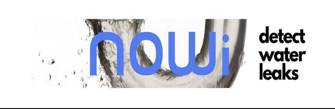 NOWI Sensors LLC Cover Image