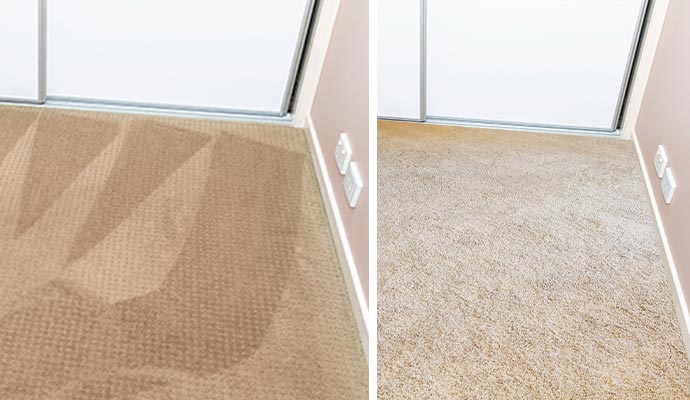 Why Cheap Carpet Cleaning Costs You More in the Long Run