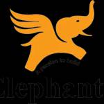 elephanta group Profile Picture