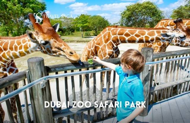 Dubai Safari Park Tickets | Prices, Deals & Booking | Travel Saga Tourism