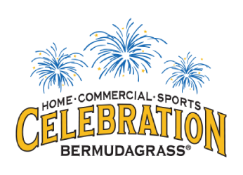 Celebration® Bermudagrass Florida | Celebration® Sod | Star Turf Farms
