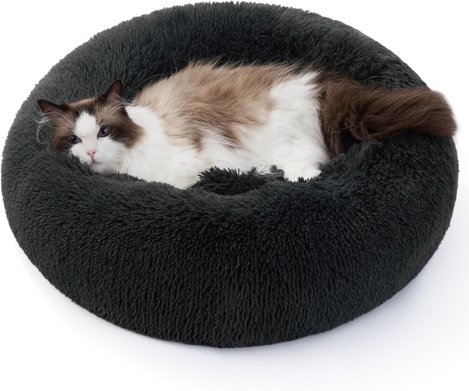 Bedsure Donut-Bett für Katzen und kleine Hunde | Pfotentakt