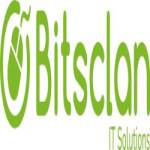 bitsclan it solution Profile Picture