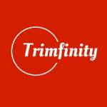 Tromfinity Consulting Profile Picture