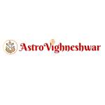 Astro Vighneshwar Profile Picture