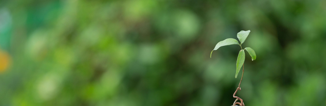 Kissandhan Agri Financial Services Pvt Ltd Cover Image