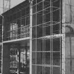 Levcon CD Profile Picture